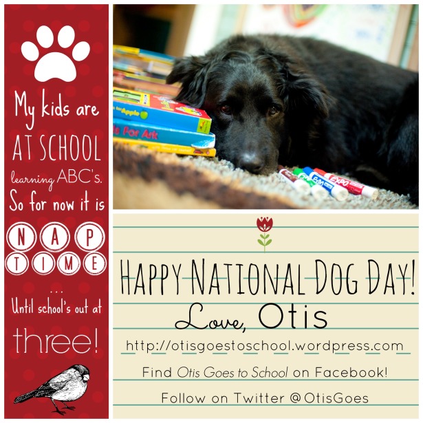 Happy National Dog Day from Otis